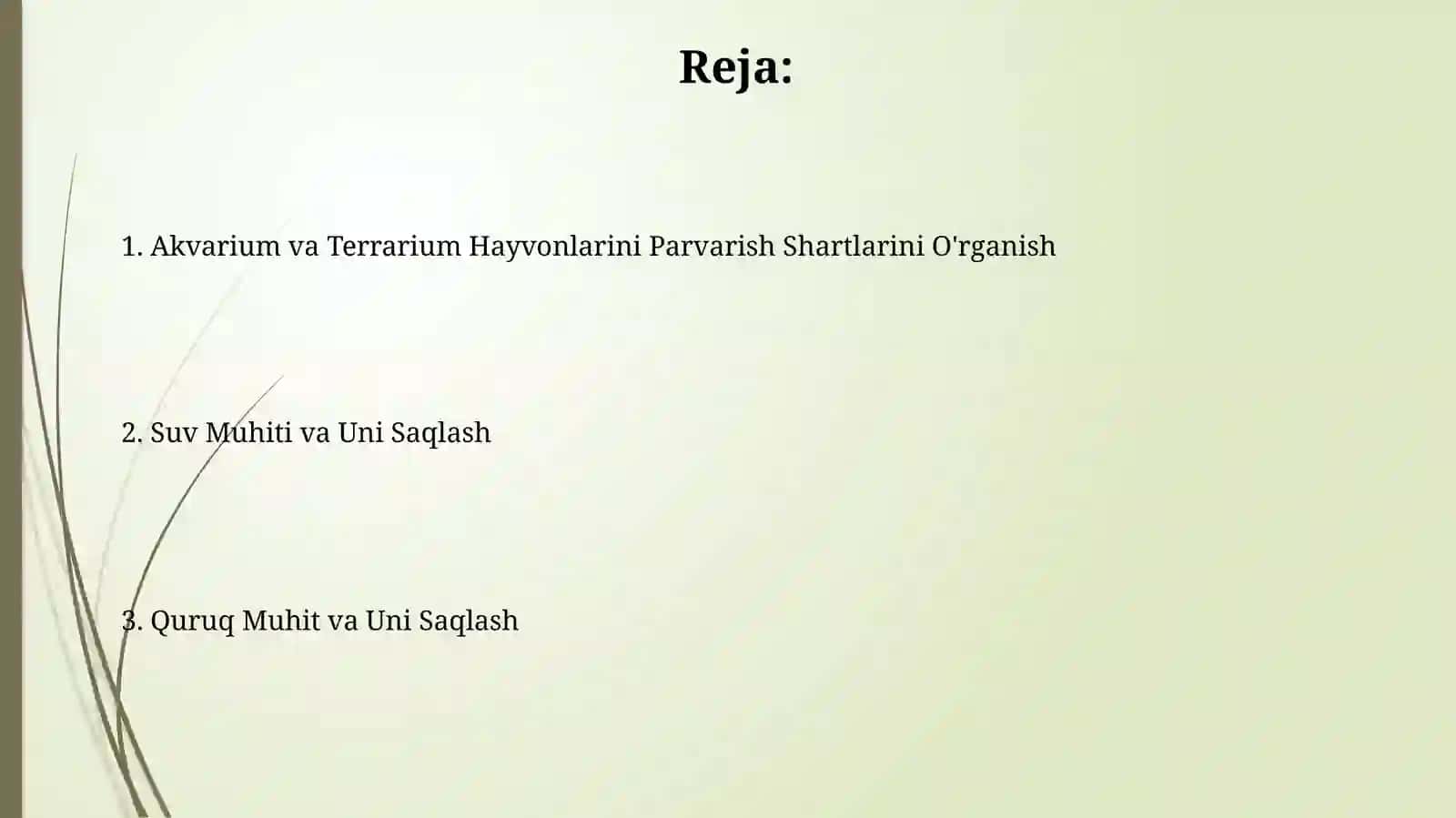 Akvariumda va terrariumda yashovchilarni parvarishlashning shart sharoitini órganish 2