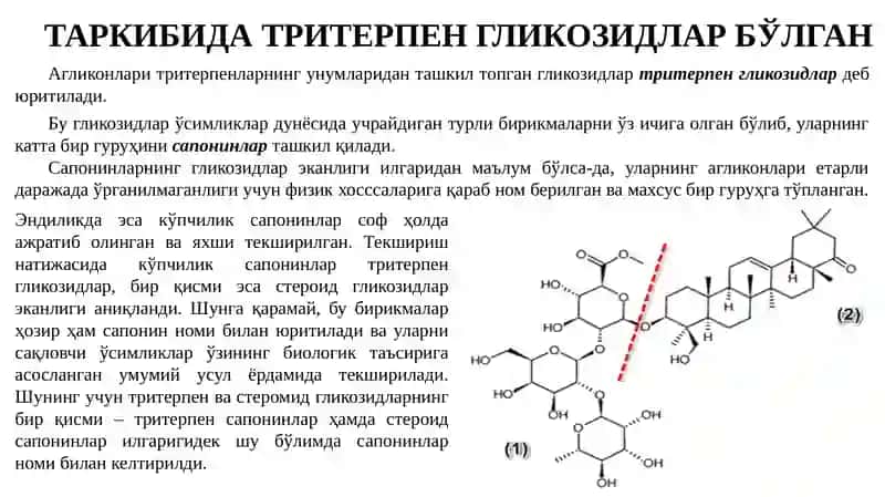 DORIVOR O‘SIMLIKLARNI SAPONINLAR BO‘YICHA ANIQLASH, ANALIZ QILISH VA ULARNING MAHSULOTLARI. 2