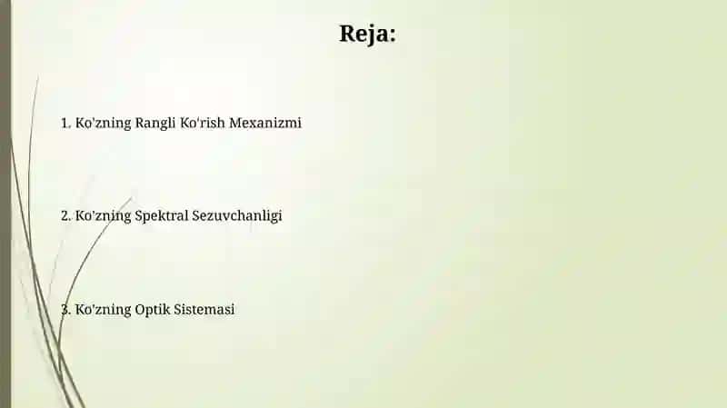 Koʻz optik sistema. Koʻzning spektral sezgirligi 2