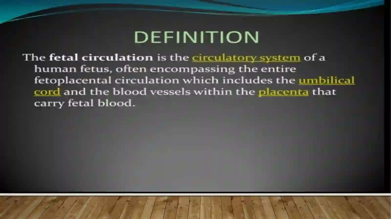 Fetalcirculation 2