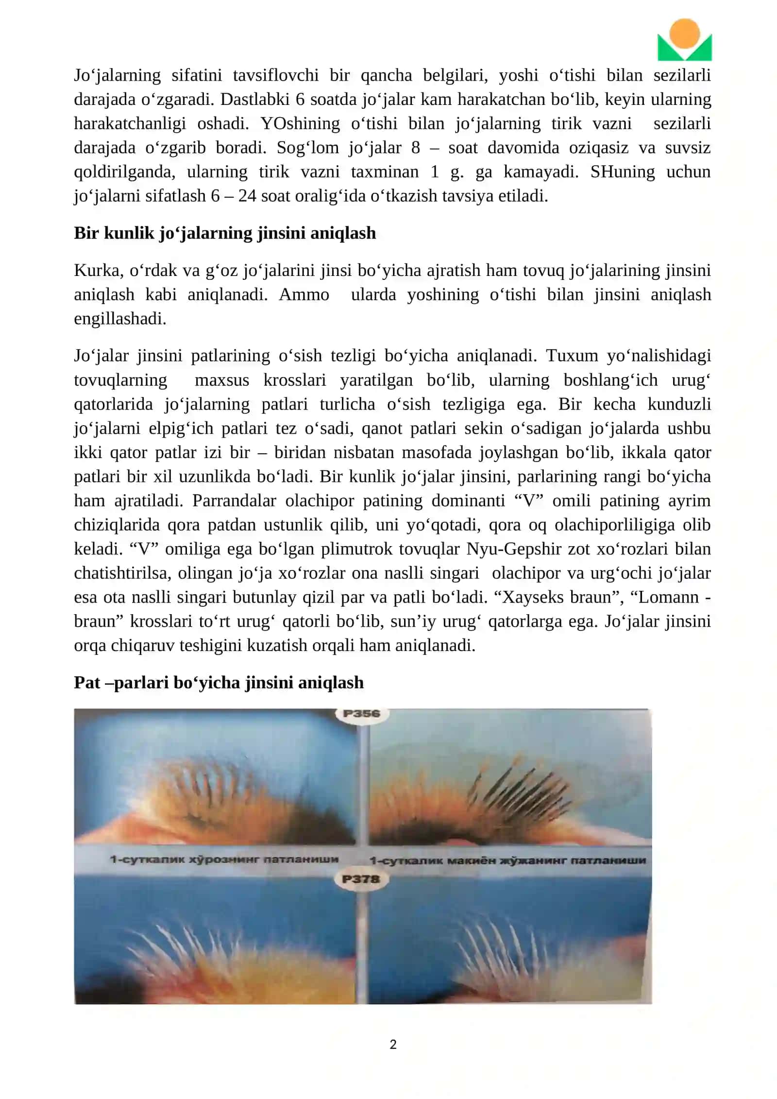 Tuxum va go’sht yo’nalishidagi bir kunlik jo’jalarini sifatlash va jinslarga ajratish 2