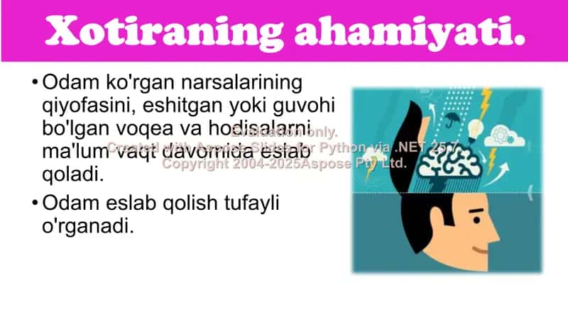 Xotira 2