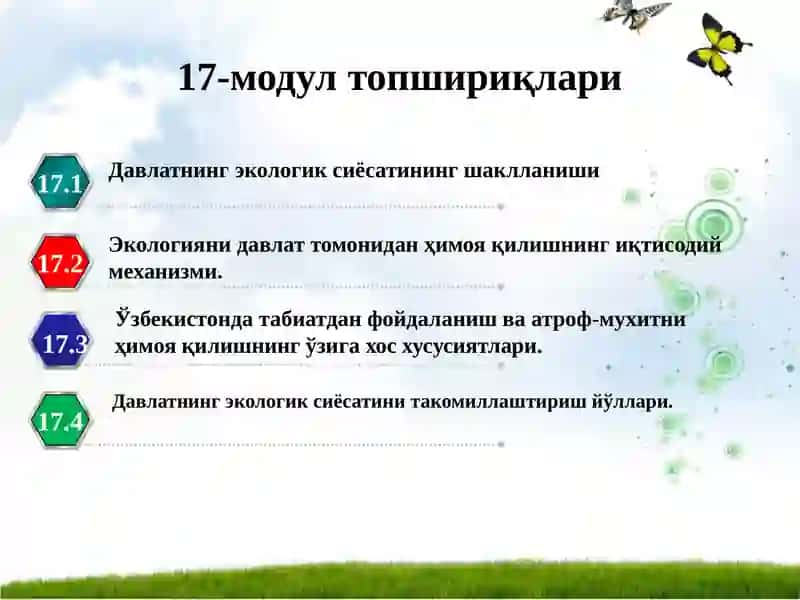 Davlatning tabiiy rеsurslardan foydalanish jarayonlarini tartibga solishi va ekologiya sohasidagi siyosati 2