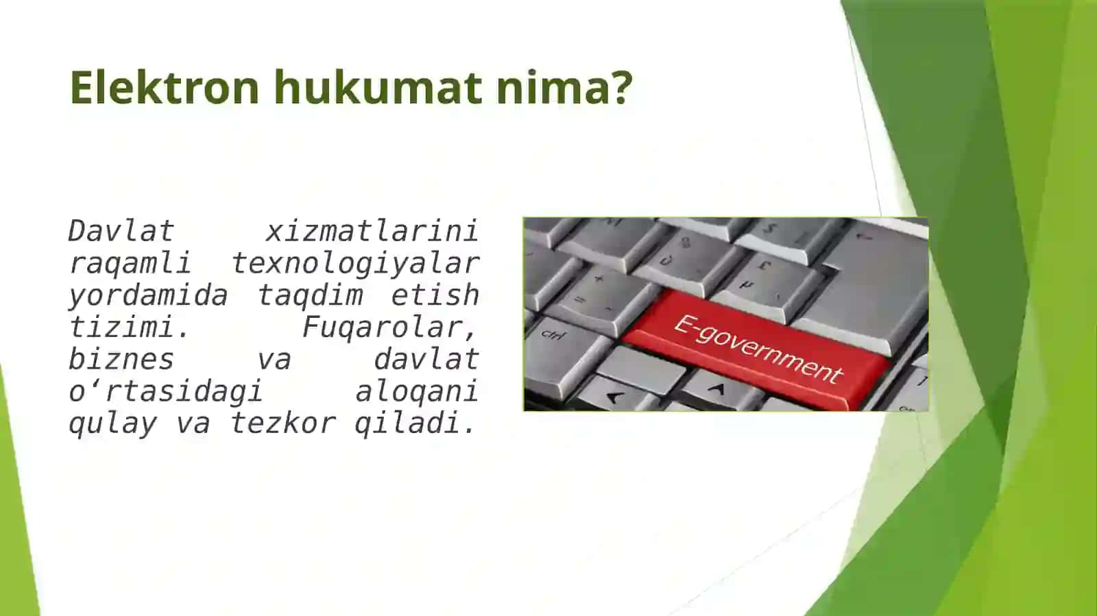Elektron hukumatni joriy etishning jahon tajribasi 2