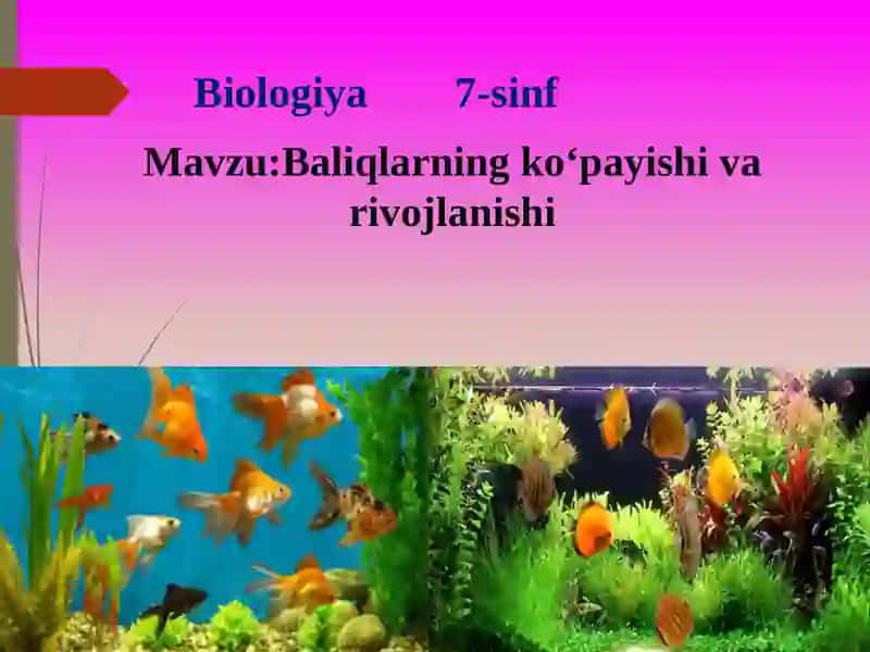 Biologiya 7-sinf 2
