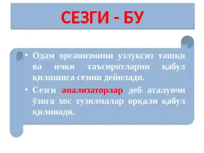 Сезгисфераси 2