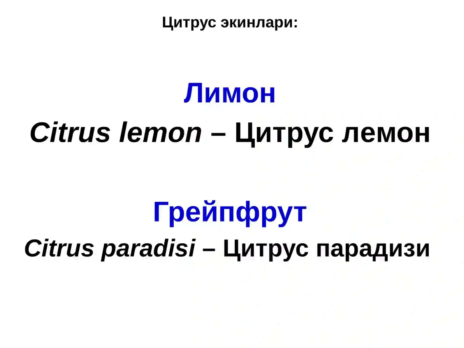 ЦИТРУС ЭКИНЛАРИНИНГ КАСАЛЛИКЛАРИ 2