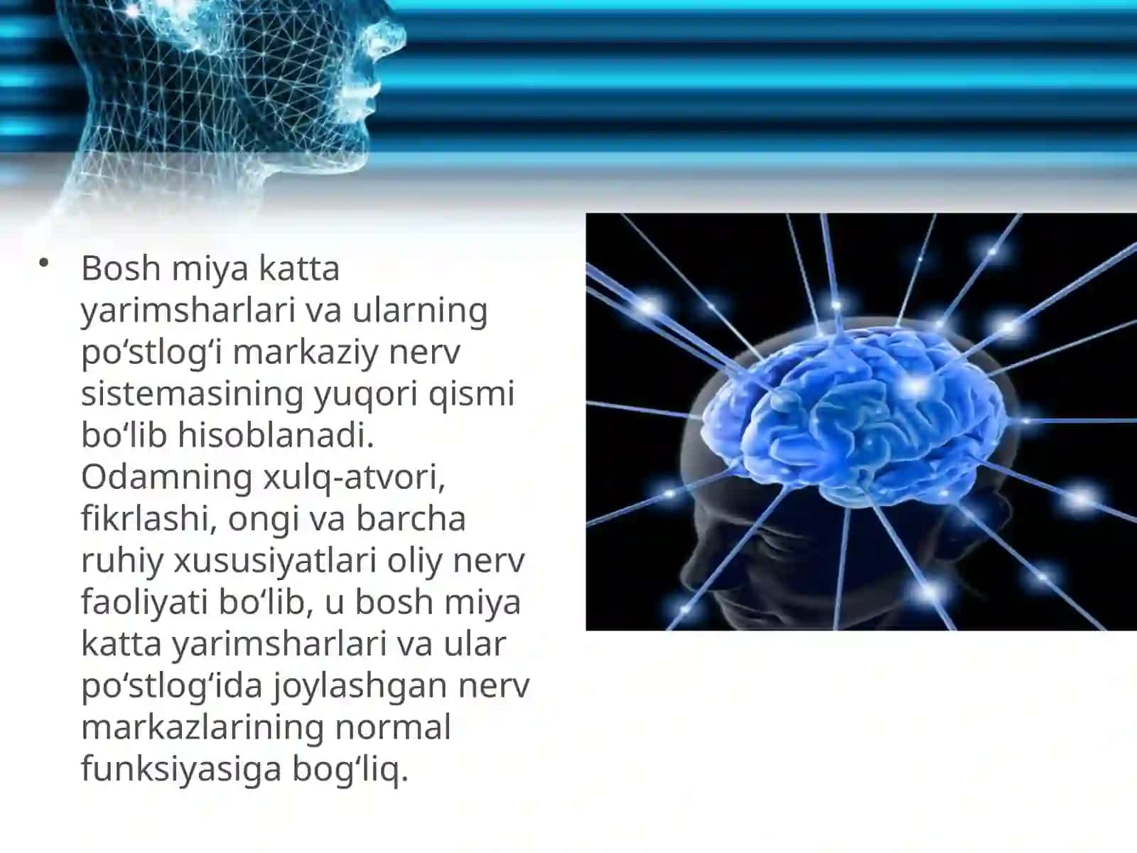 Oliy nerv faoliyati haqida tushuncha. Shartsiz va shartli reflekslar 2
