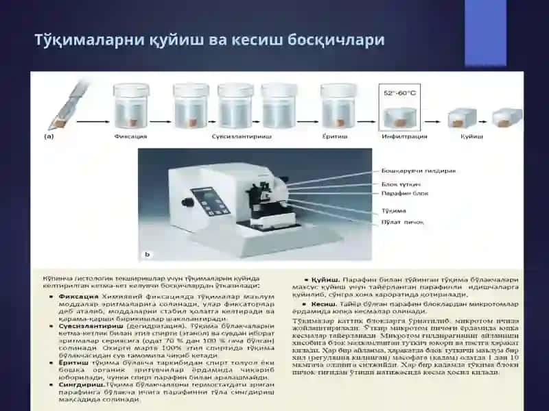 Цитология 2