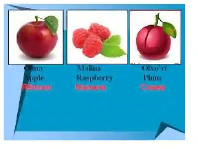 PRIMARY EDUCATION PEDAOGY 2