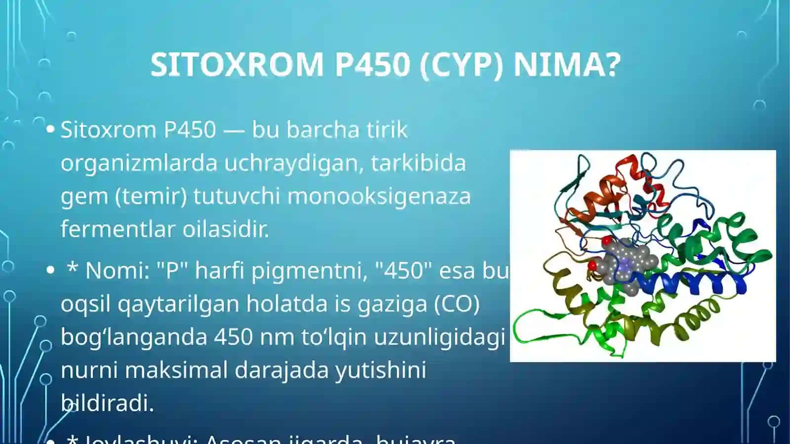 Sitoxrom P450 oqsili polimorfizmi va kimyoviy kanserogenez. 2