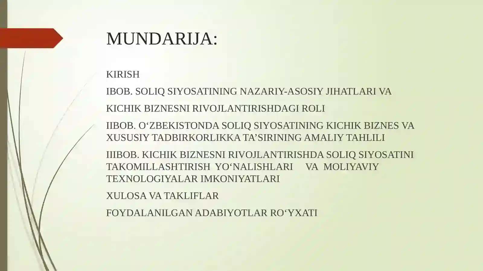 BMI ZASHITA UCHUN SLAYD 2