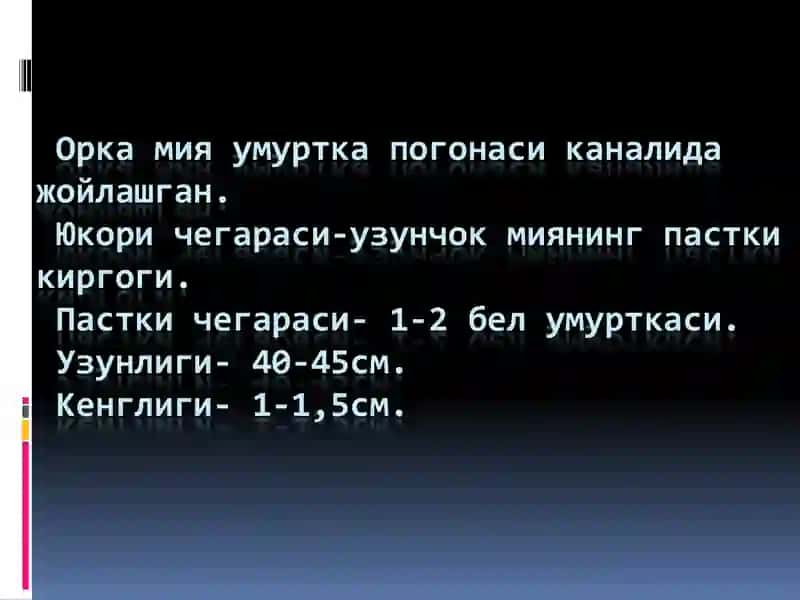 Орка мия 2