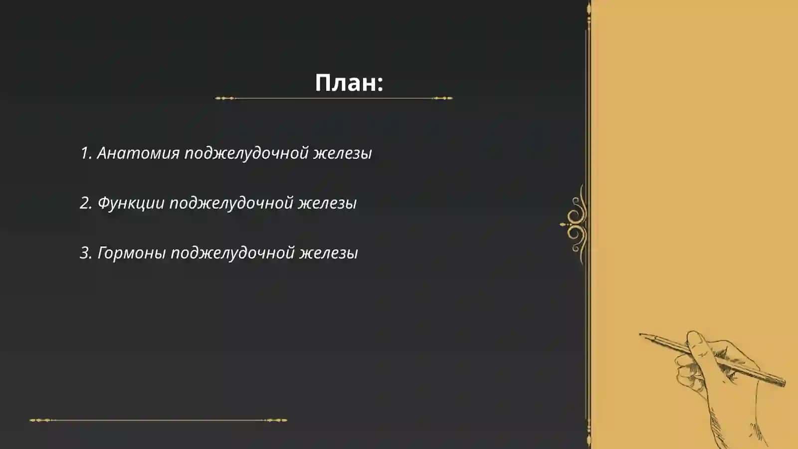 Поджелудочная железа 2