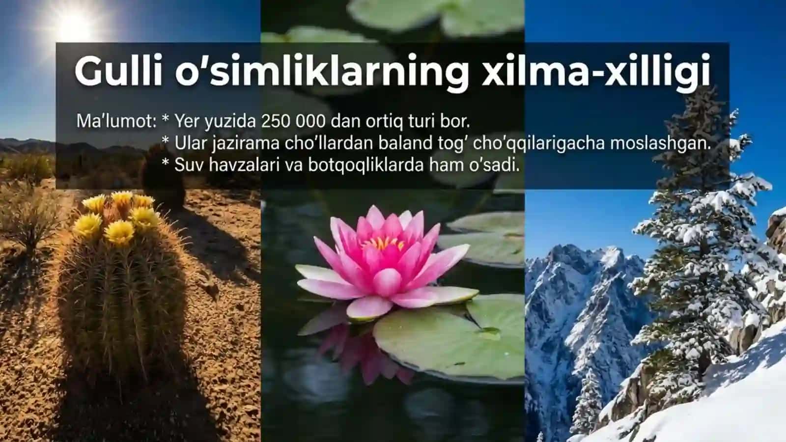 Gulli o'simliklar bilan umumiy tanishish 2
