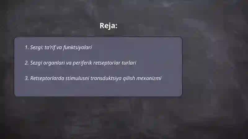 Sezgi haqida umumiy tushuncha va uning nerv-fiziologik asoslari 2