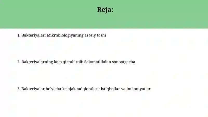 Bakteriyalar 2