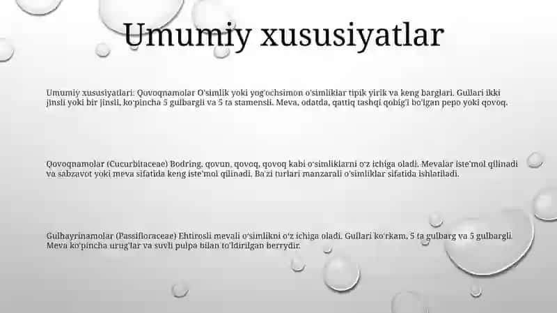 Qovoqnamolar (Cucurbitales) 2