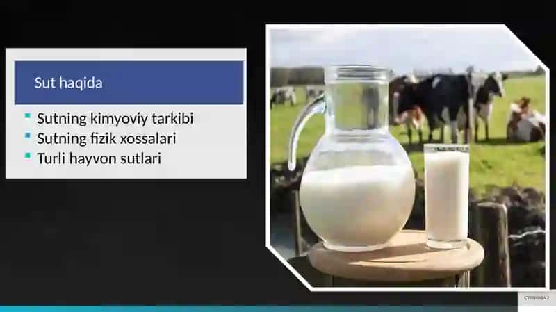 sut va sut mahsulotlari 2