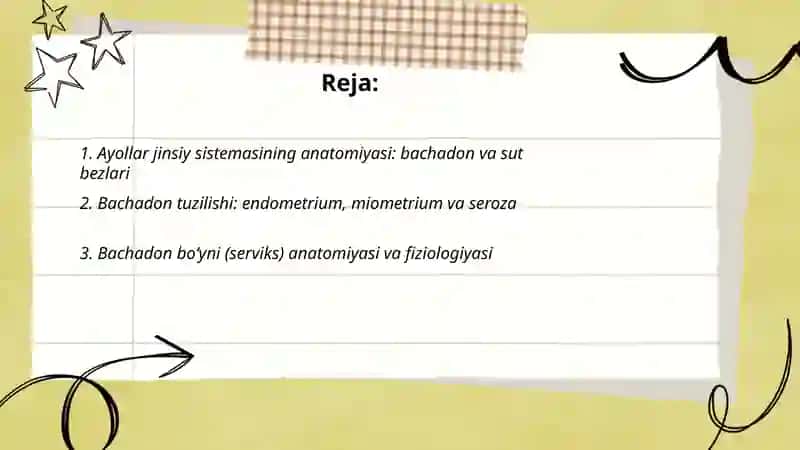 Ayollar jinsiy sistemasi bachadon sut bezi 2