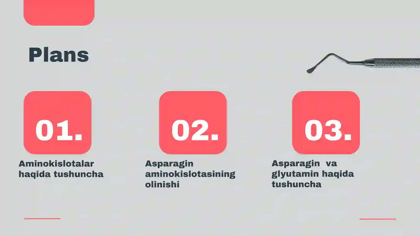 Asparagin va glyutamin aminokislotalar biotexnologiyasi 2