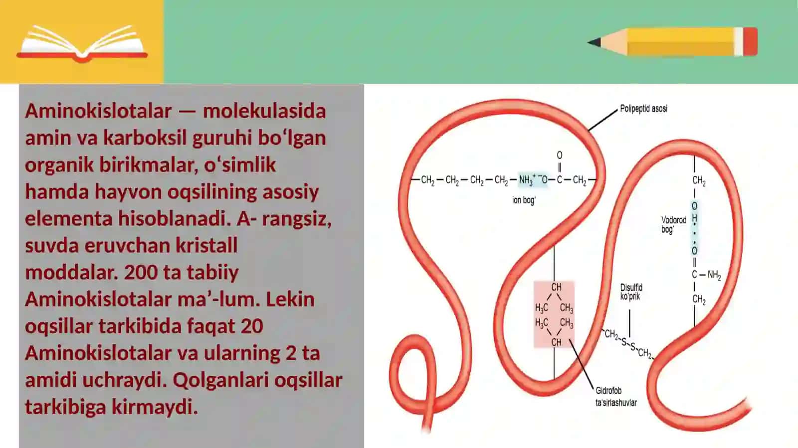 Amino kislotalar 2
