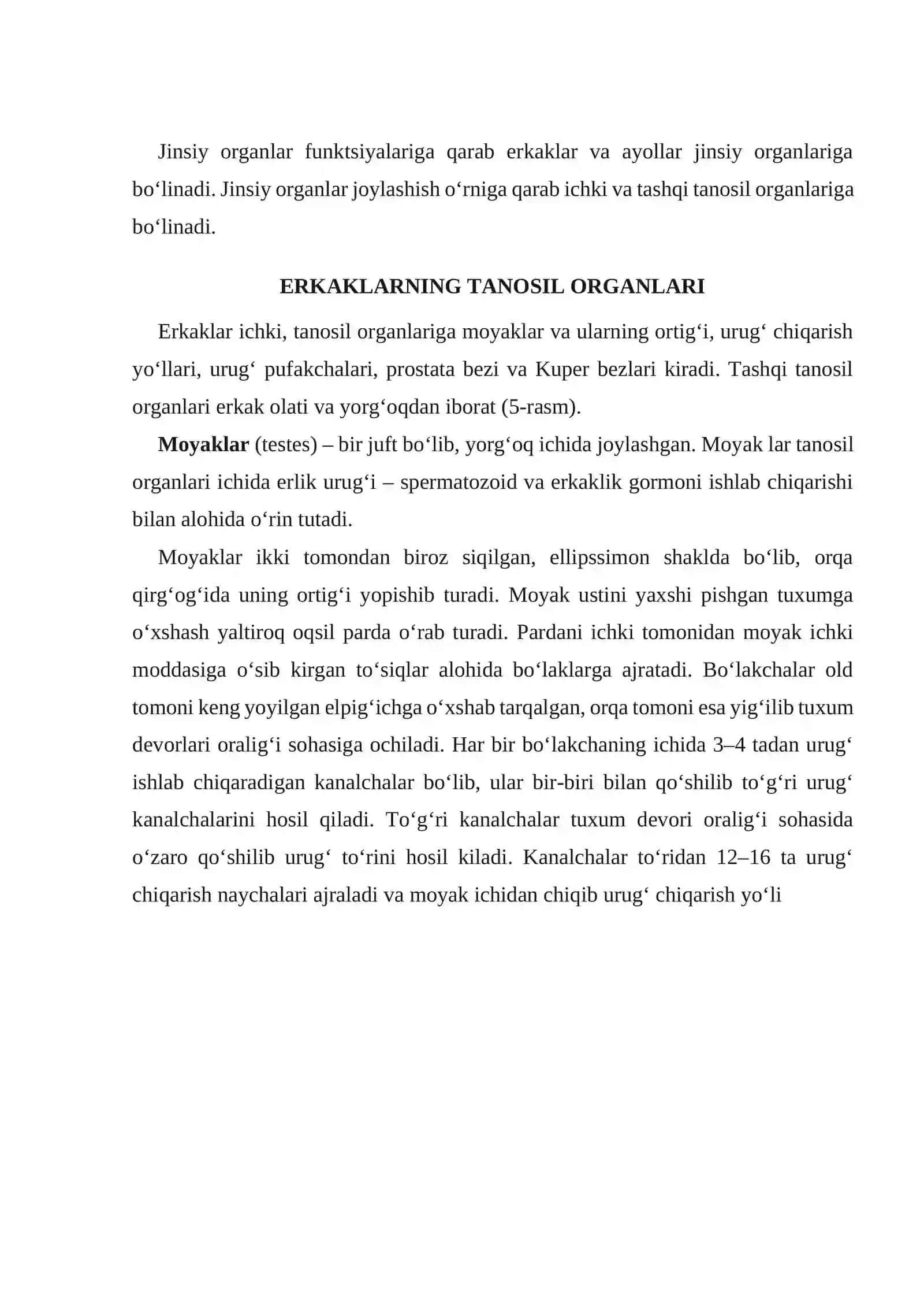Erkak jinsiy a’zolar anatomiyasi 2