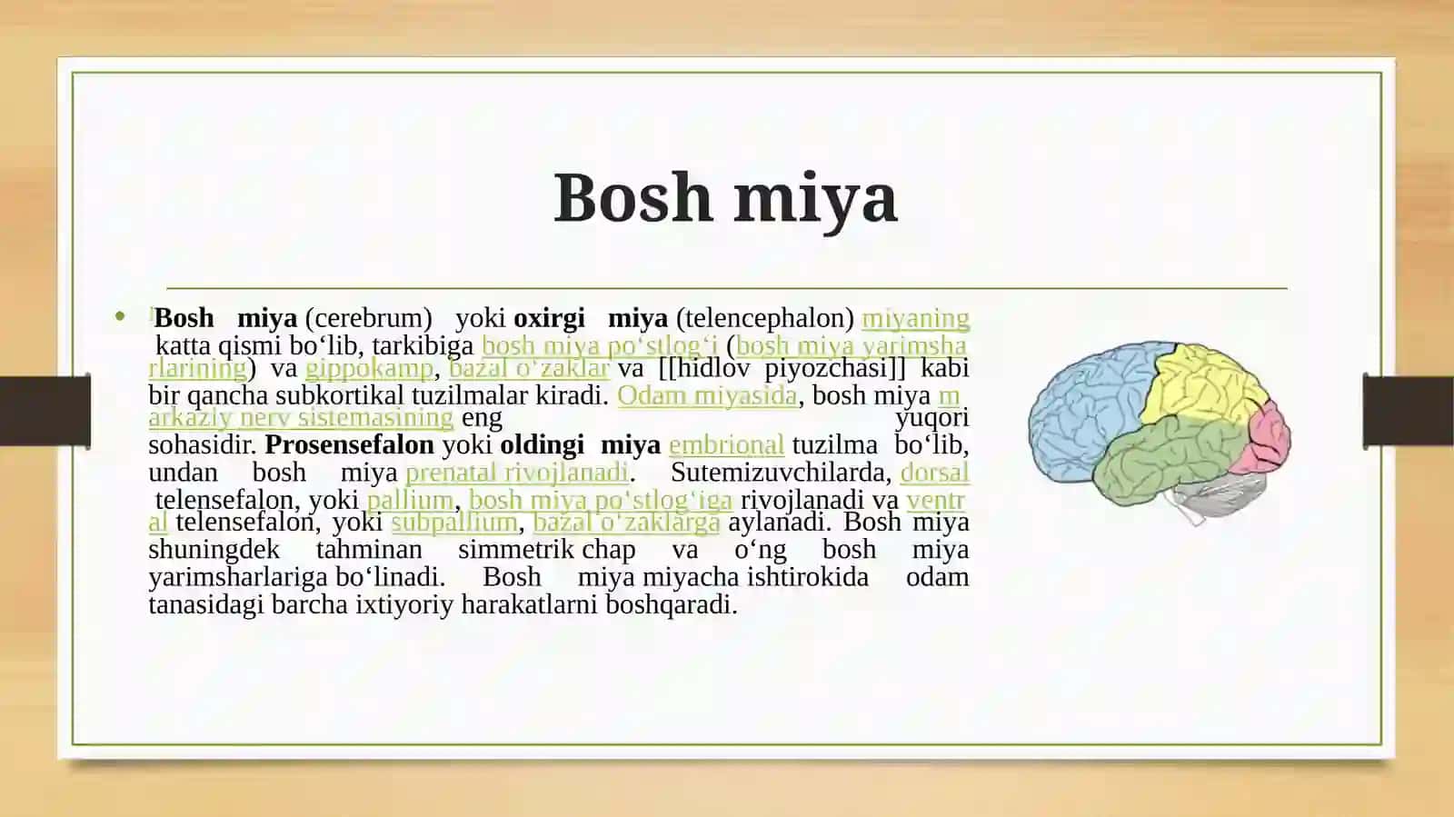 Bosh miya 2