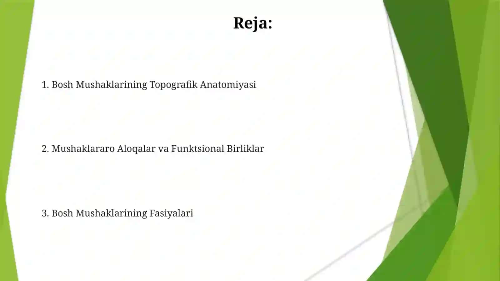 Bosh Mushaklarining Topografik Anatomiyasi 2