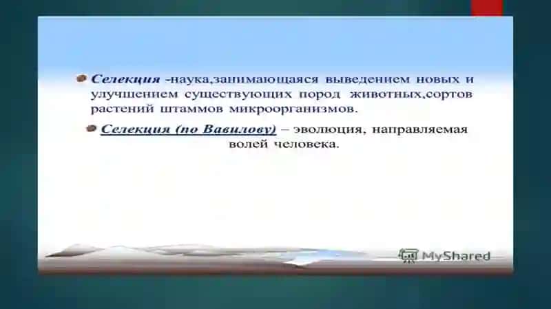 Селекция как наука 2