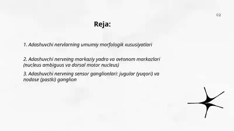 Adashgan nervlar anatomiyasi 2