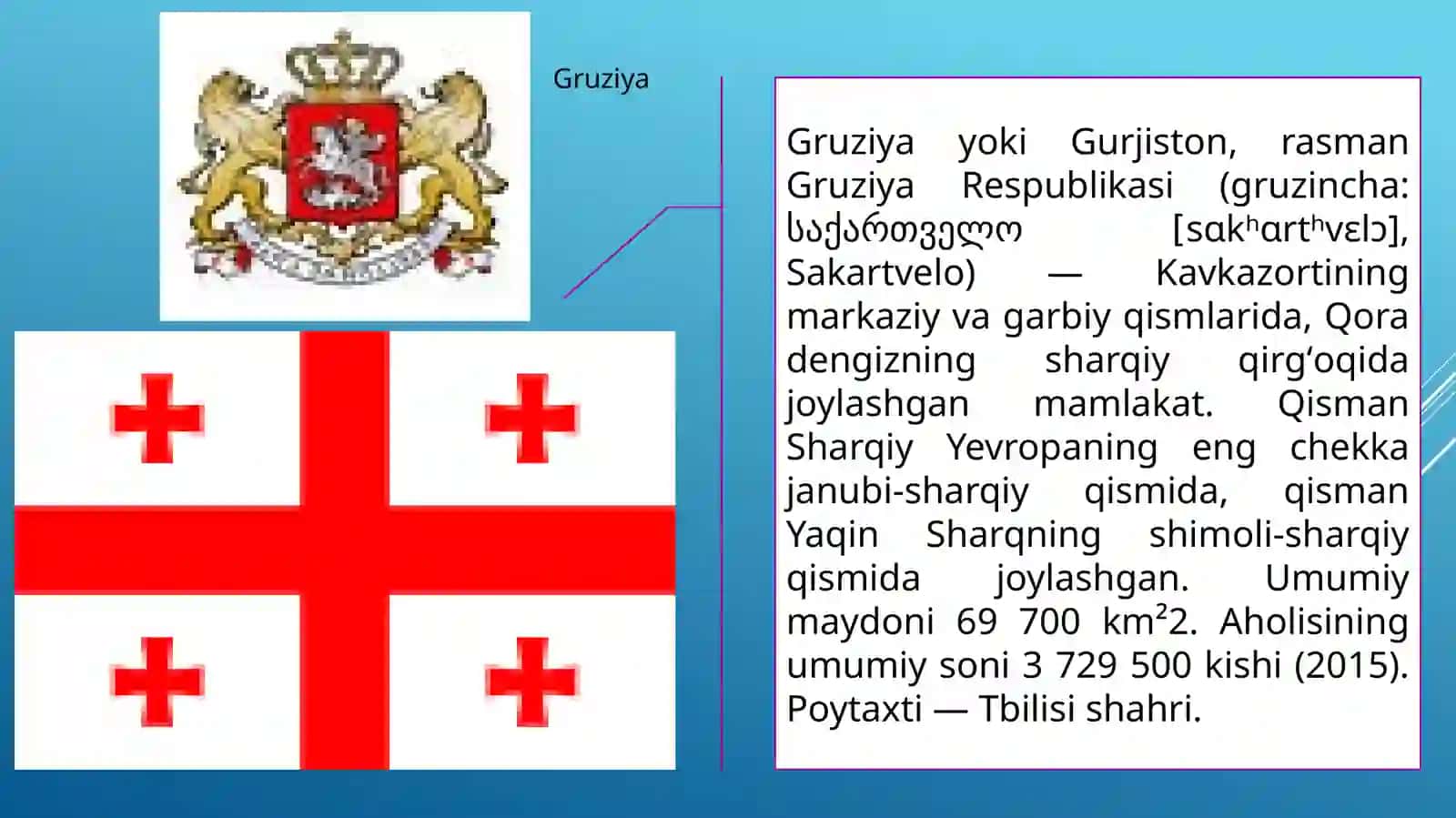 GRUZIYA BOJXONA Siyosat 2