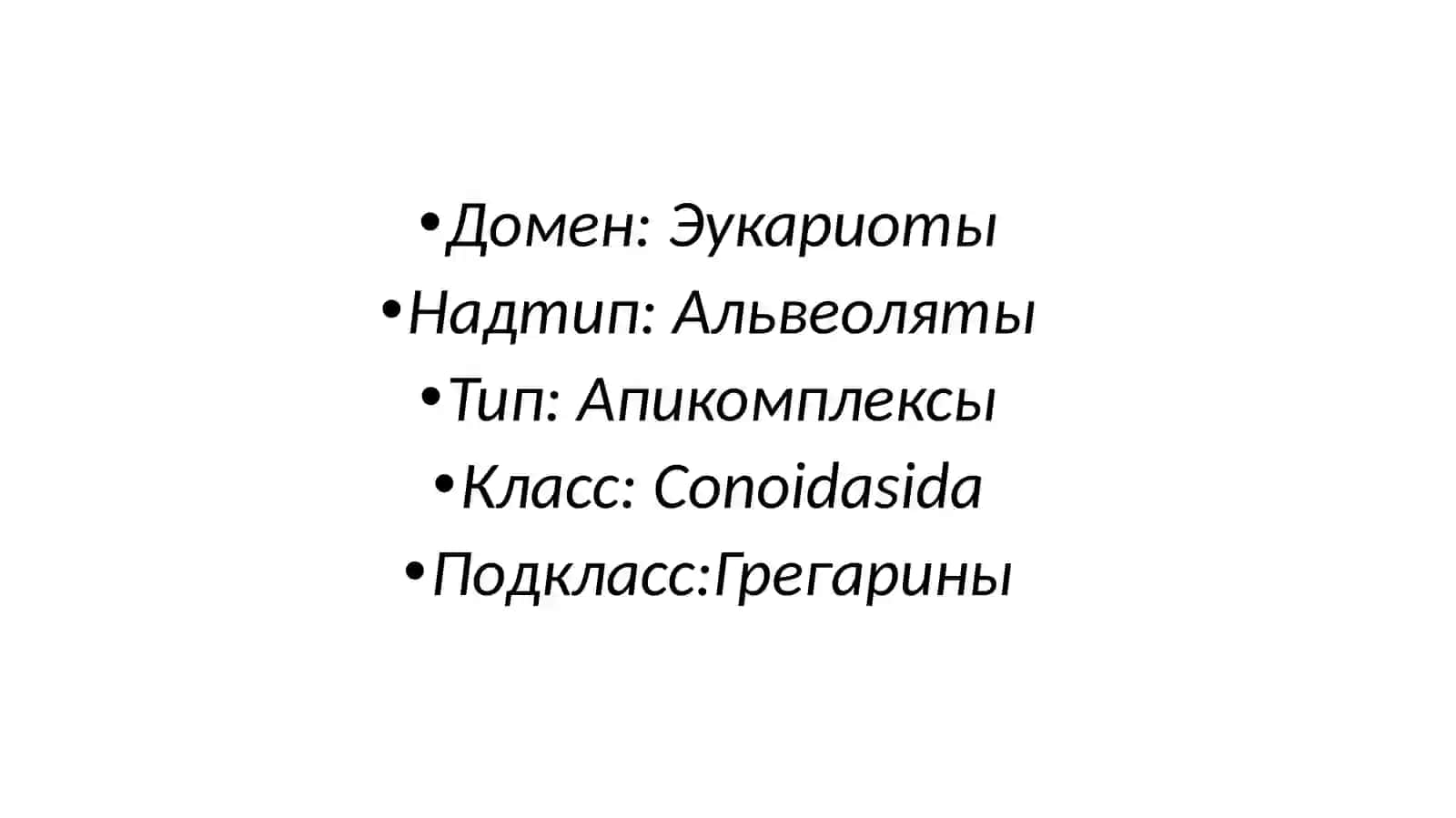 Грегарины 2
