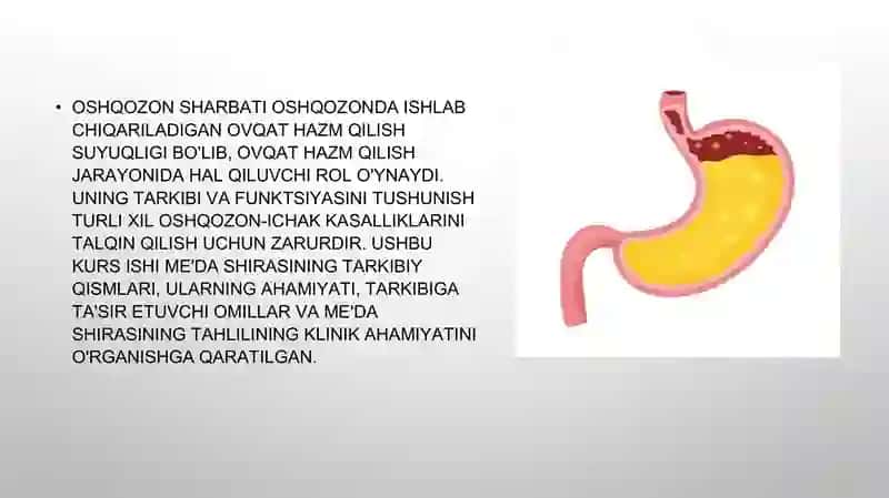 Oshqozon shirasining interpretatsiyasi 2