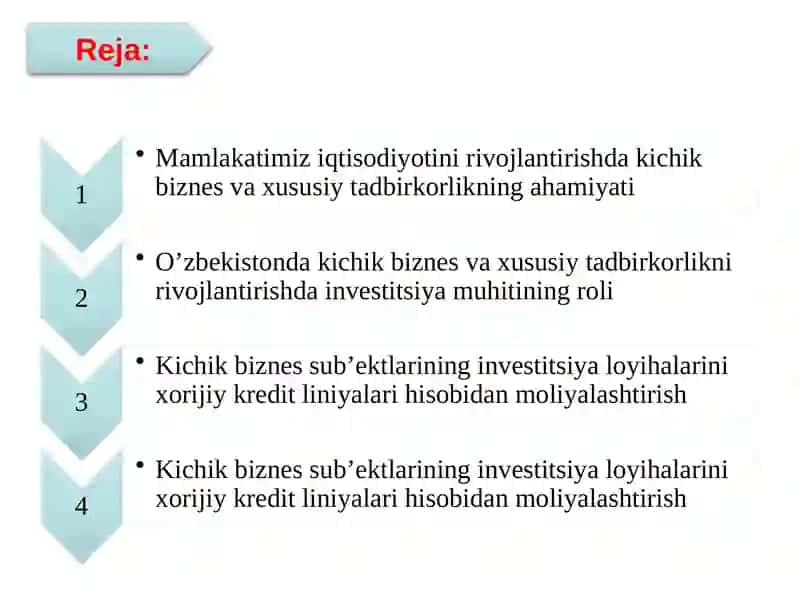 Kichik biznes va xususiy tadbirkorlikka xorijiy investitsiyalarni jalb etish 2