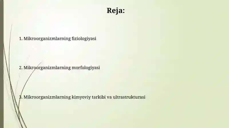 Mikroorganizmlarning morfologiyasi, fiziologiyasi va kimyoviy tarkibi, ultrastrukturasi 2