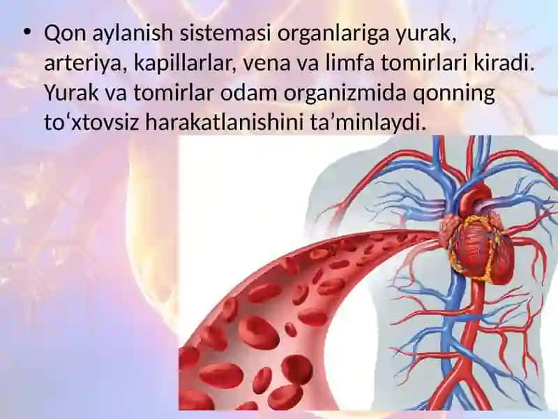 Qonaylanish sistemasi haqida umumiy tushuncha 2