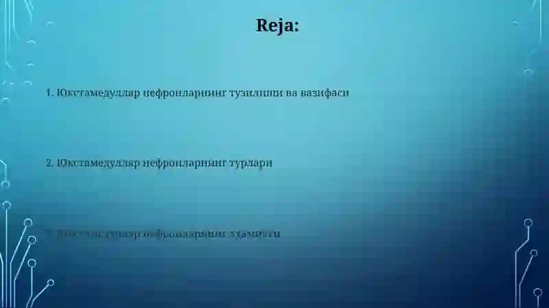 Юкстамедулляр нефронларнинг тузилиши ва вазифаси 2