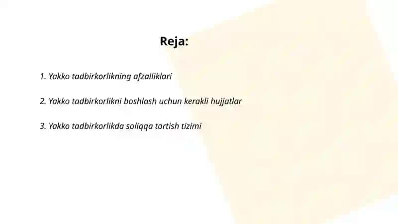 Yakka tadbirkorlik 2