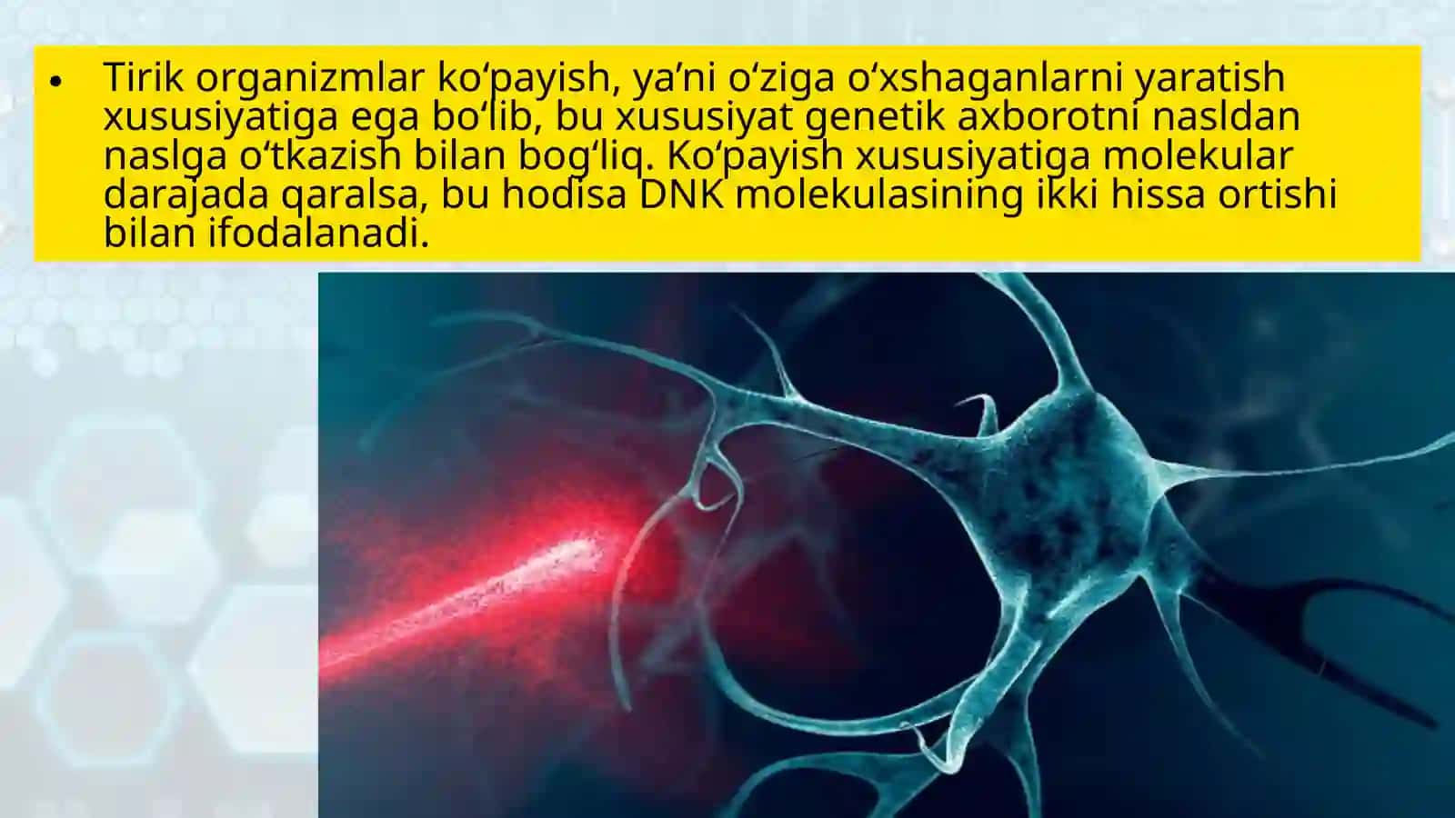 Hujayra tarkibi 2