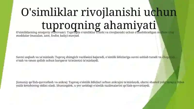 O'simliklarning ozuqaviy rezervuari 2