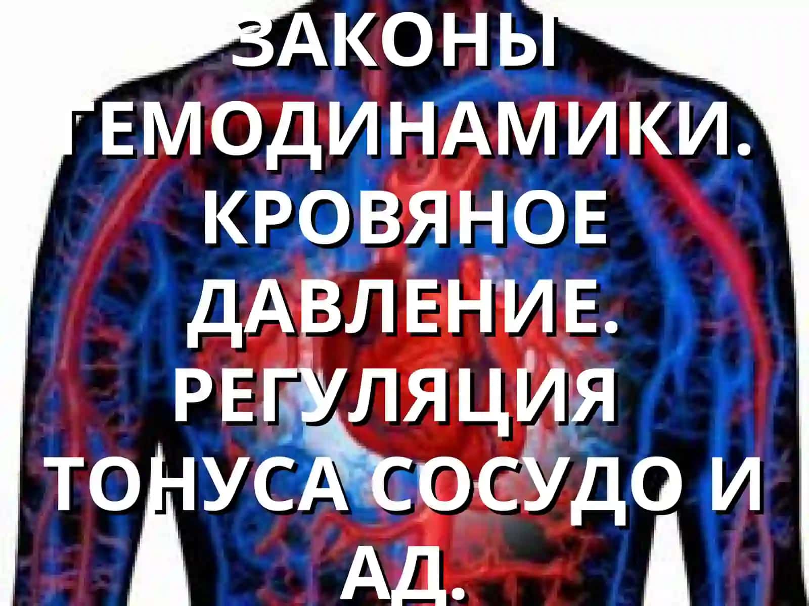 ЗАКОНЫГЕМОДИНАМИКИ.КРОВЯНОЕ ДАВЛЕНИЕ.РЕГУЛЯЦИЯТОНУСА СОСУДО И АД.ФУНКЦИОНАЛЬНЫЕ ОТДЕЛЫСИСТЕМЫ КРОВОБРАЩЕНИЯ 2