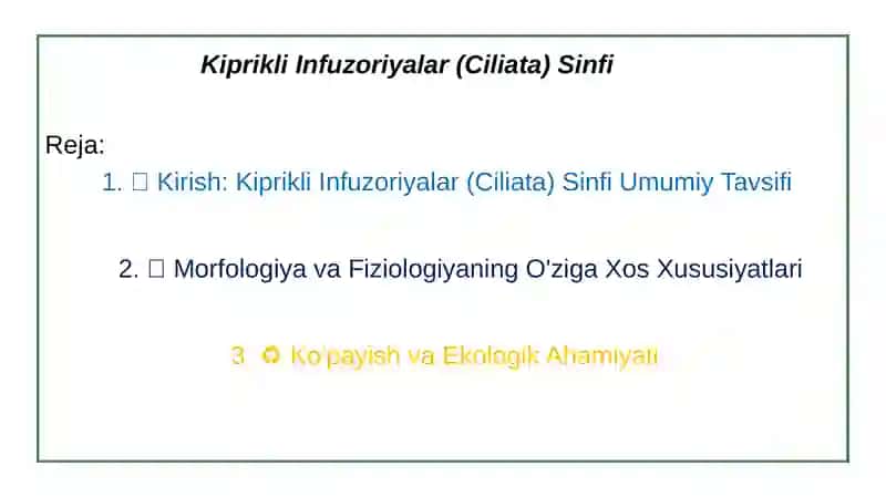 KIPRIKLI INFUZORIYALAR SINFI 2