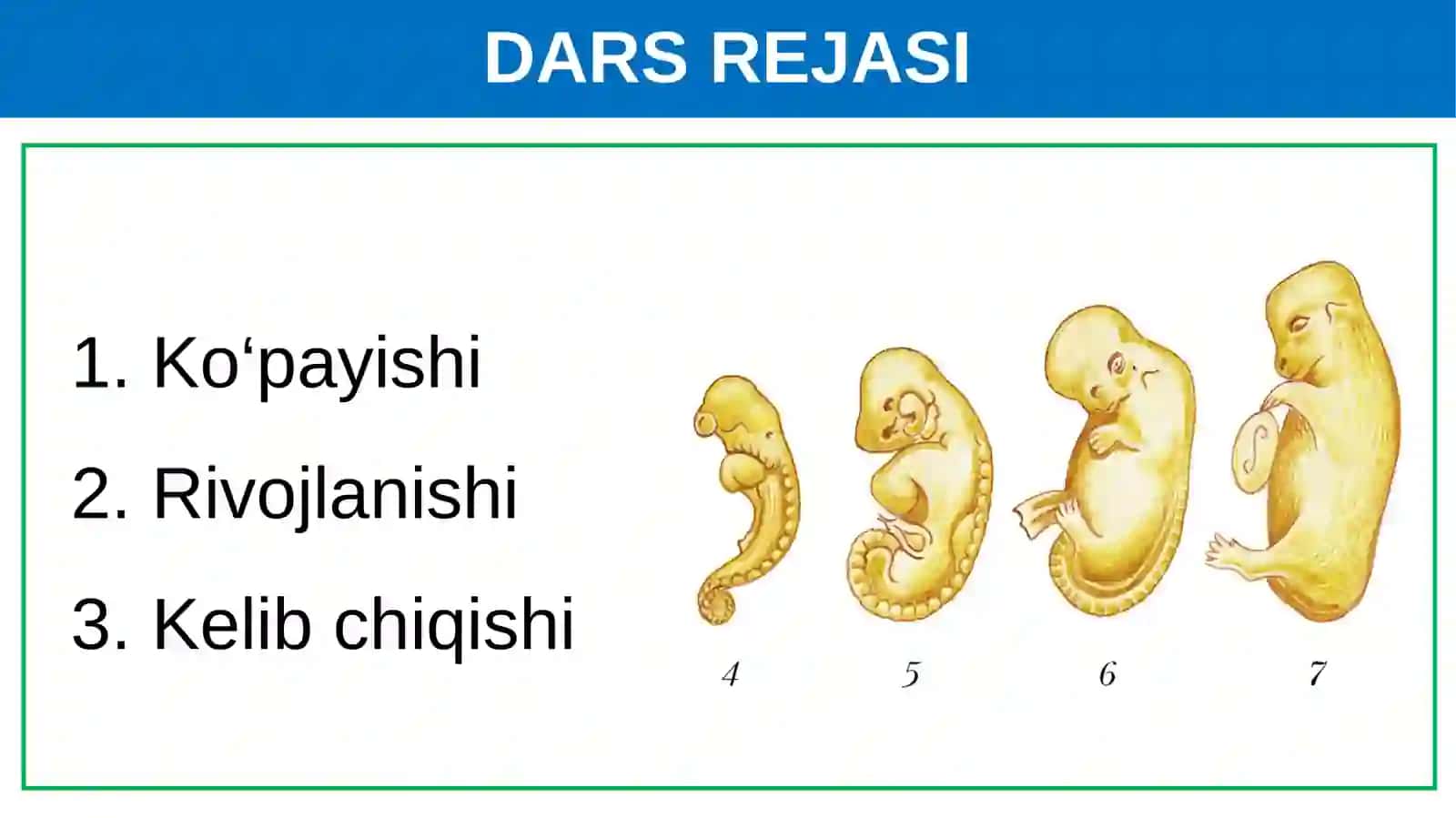 Sutemizuvchilarning ko‘payishi, rivojlanishi va kelibchiqishi 2