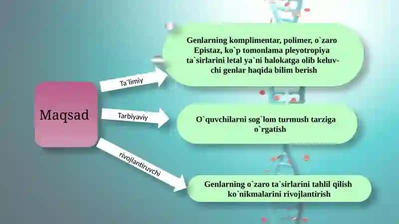 Noallel genlarning o`zaro ta`siri 2
