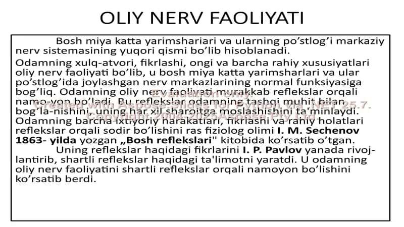 Oliy nerv faoliyati 2