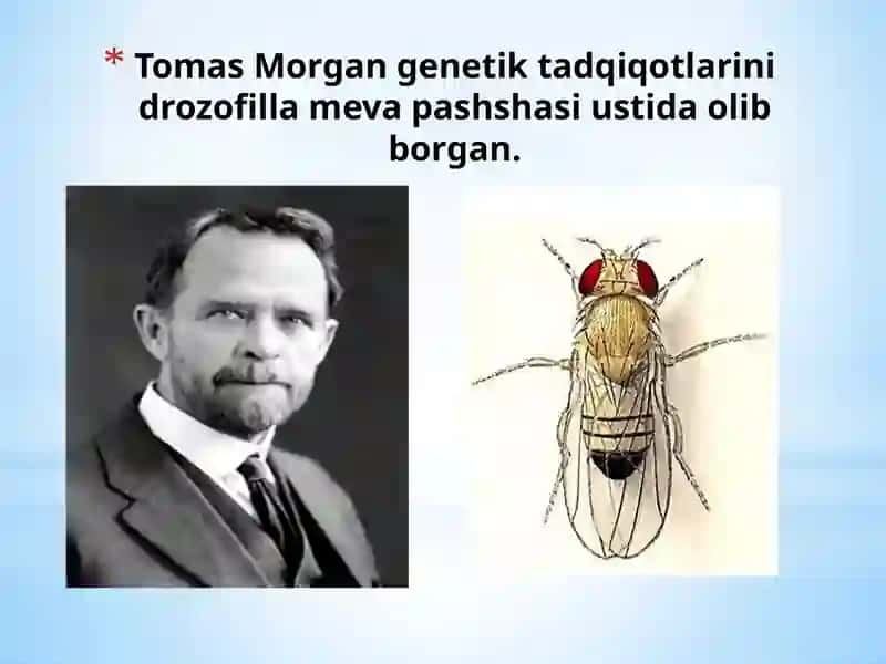 Belgilarning Jinsga Bog‘liq Holda Irsiylanishi 2