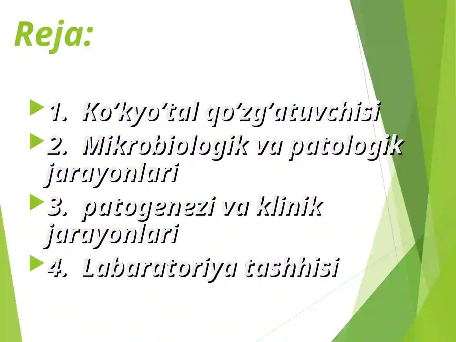KO'K YO'TAL 2
