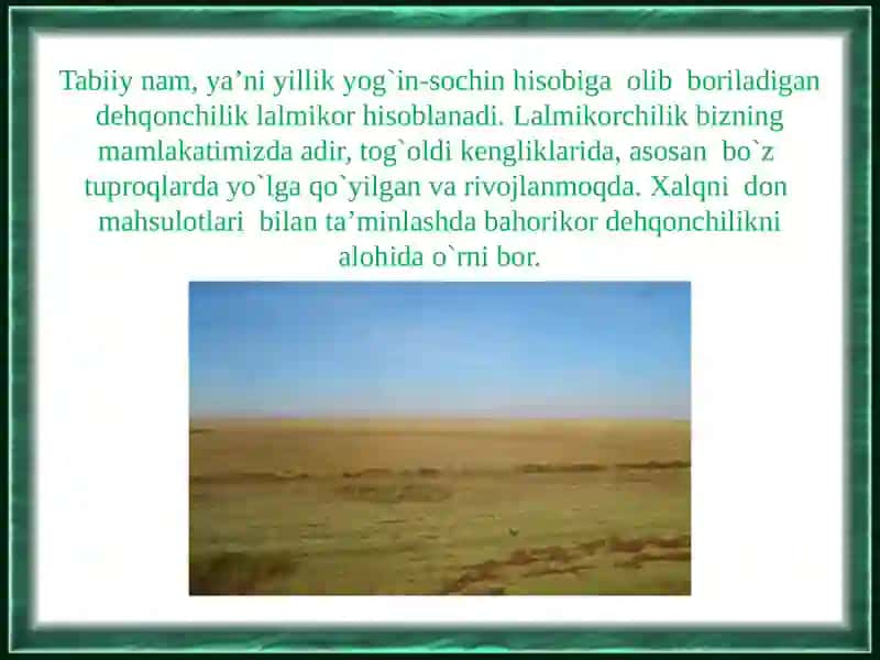 Lalmikoryerlarnibaholash 2