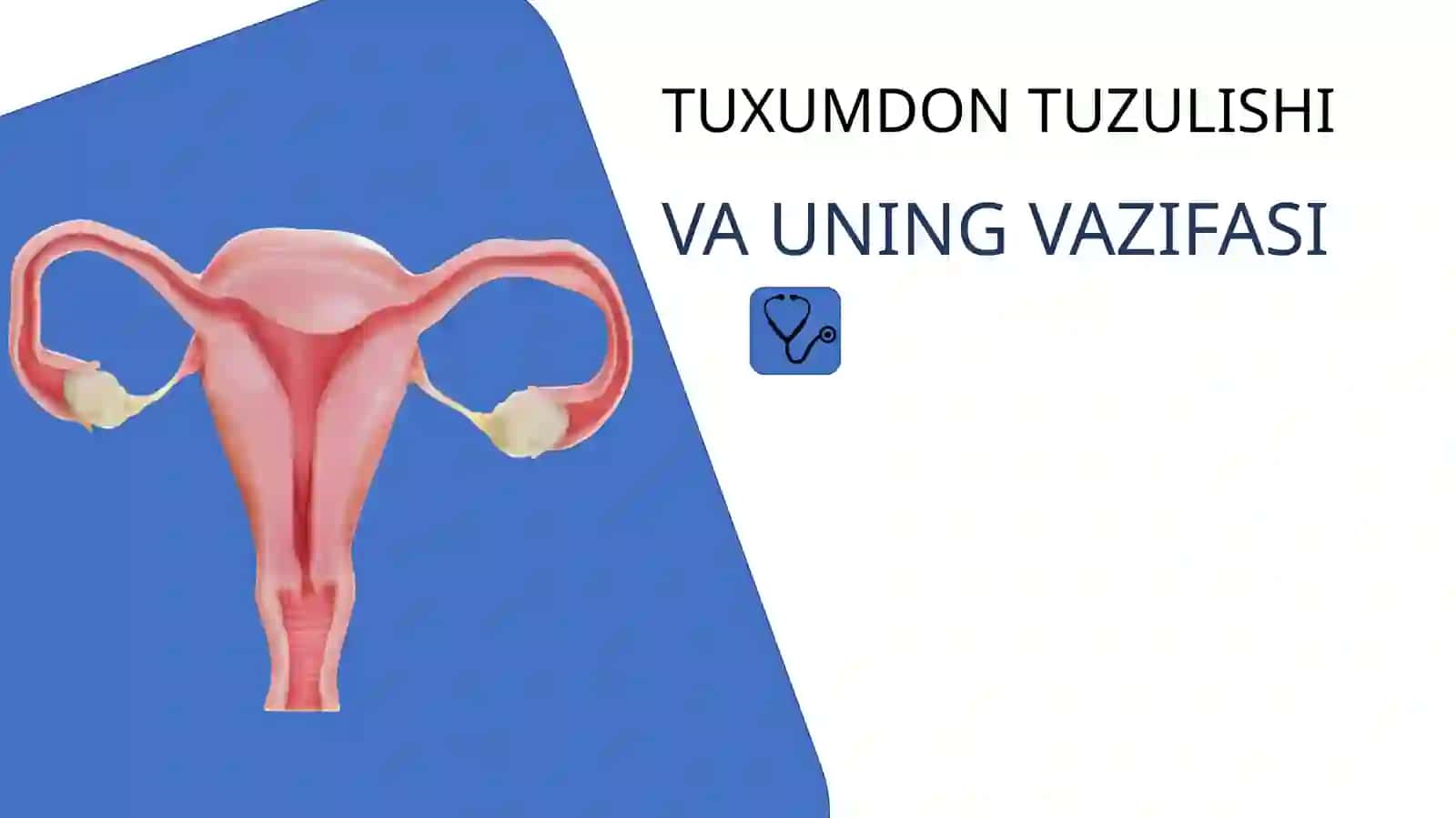Tuxumdonsaratoni 2